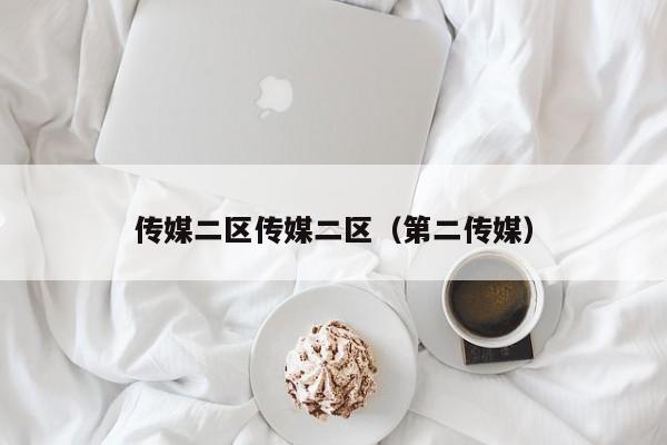 传媒二区传媒二区(第二传媒)