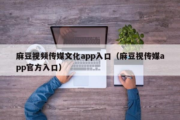 麻豆视频传媒文化app入口(麻豆视传媒app官方入口)