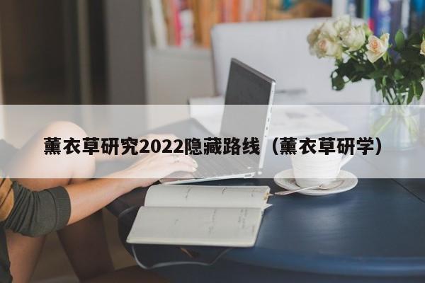薰衣草研究2022隐藏路线(薰衣草研学)